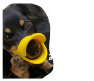 852326909