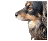 852326910