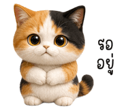 852327772
