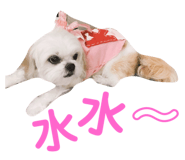 85233055