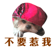 85233068