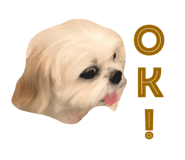 85233091