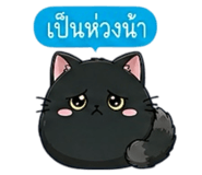 852342376