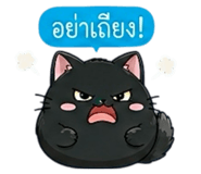 852342379
