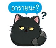 852342389