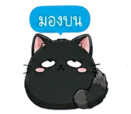 852342393