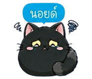 852342394