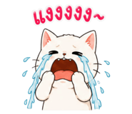 852342416