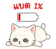 852342426
