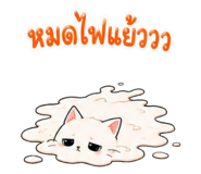 852342427