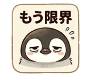 852342555