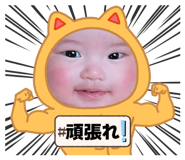 852342687