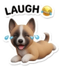 852343740