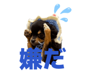 852344746