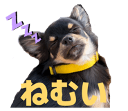 852344747