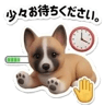852344829