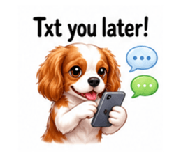 852346900