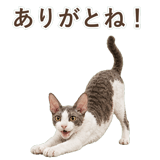 852348369