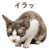 852348370