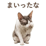 852348371