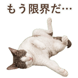 852348373