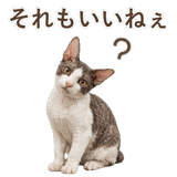 852348377
