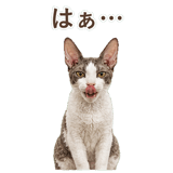 852348378