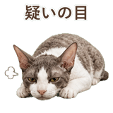 852348379