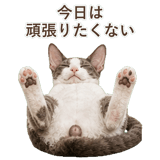 852348382