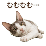 852348386