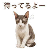 852348387
