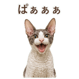 852348394
