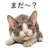 852348396