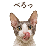 852348397