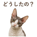 852348398