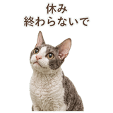 852348401