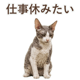 852348402