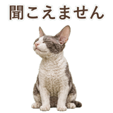852348403