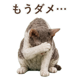 852348404