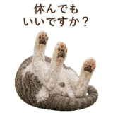 852348405