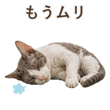 852348406