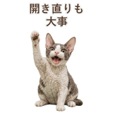 852348408