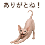 852348801