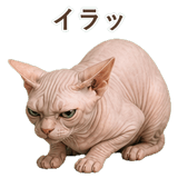 852348802