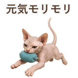 852348804