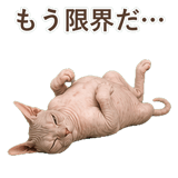 852348805