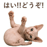 852348813
