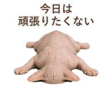 852348814