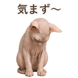 852348816