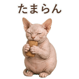852348820